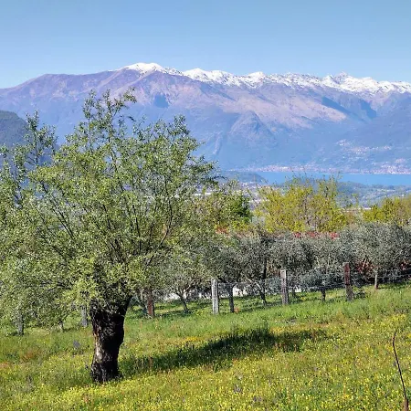 Дом отдыха Casa Kiwi By Interhome *