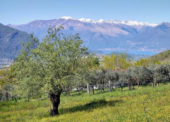 Holiday home Casa Kiwi By Interhome *