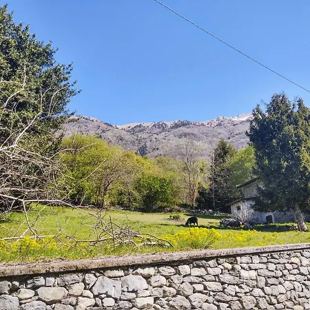 Casa Kiwi By Interhome Cercino